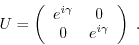 \begin{displaymath}U = \left(\begin{array}{cc}
e^{i \gamma} & 0\\
0 & e^{i \gamma}
\end{array}\right) \; .\end{displaymath}